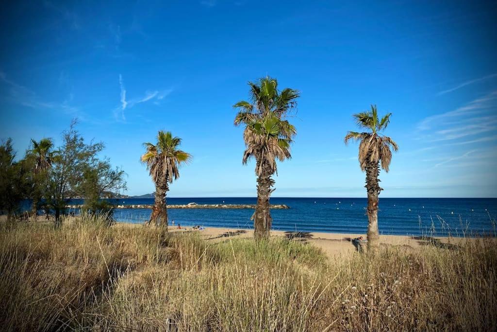 Port-Frejus, Le Paladien, Appartement 2 Pieces Climatise, Terrasse & Parking المظهر الخارجي الصورة