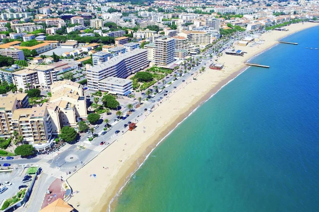 Port-Frejus, Le Paladien, Appartement 2 Pieces Climatise, Terrasse & Parking المظهر الخارجي الصورة